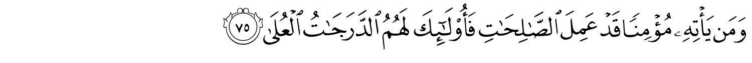 /images/20/20_75.png