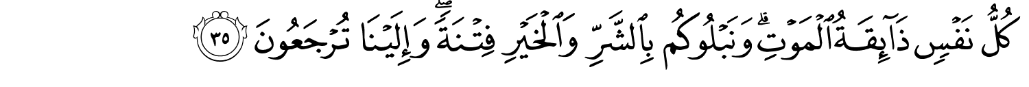 /images/21/21_35.png