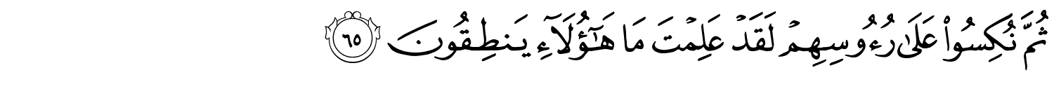 /images/21/21_65.png