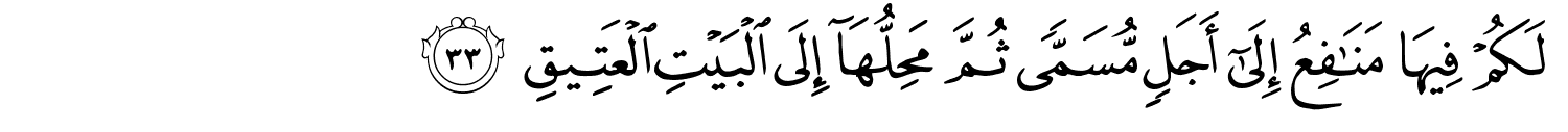 /images/22/22_33.png