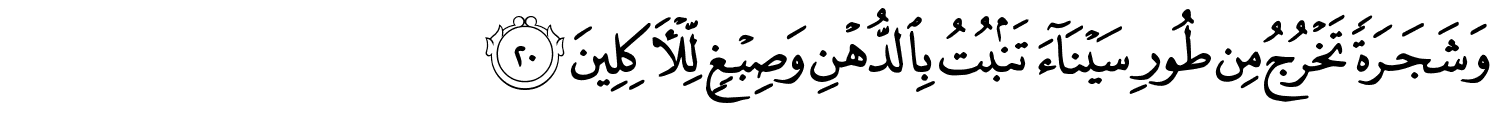/images/23/23_20.png