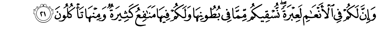/images/23/23_21.png