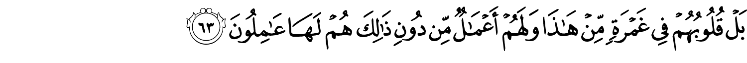 /images/23/23_63.png