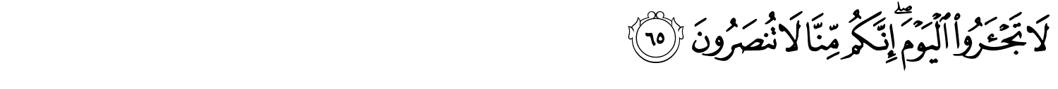 /images/23/23_65.png