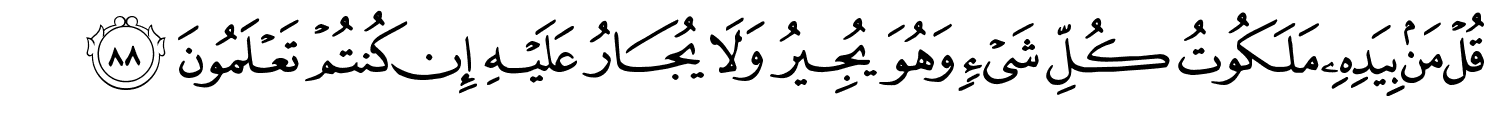 /images/23/23_88.png