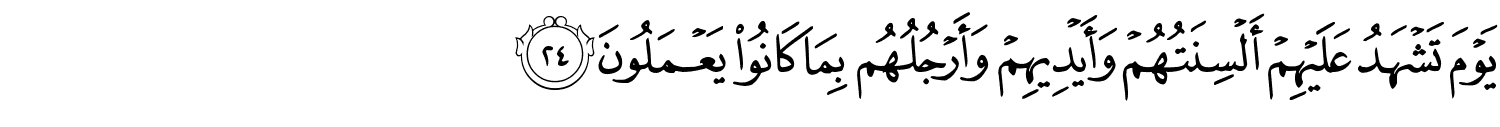 /images/24/24_24.png