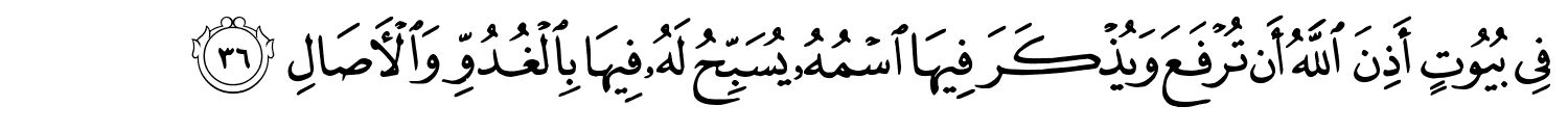 /images/24/24_36.png
