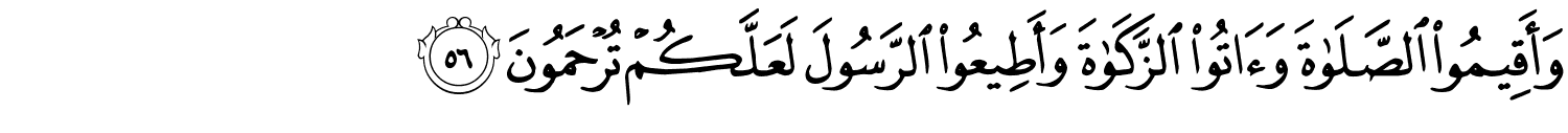 /images/24/24_56.png