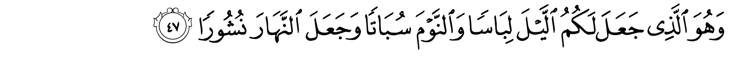 /images/25/25_47.png