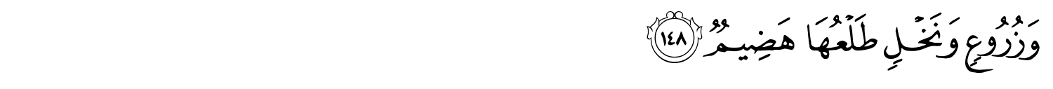 /images/26/26_148.png