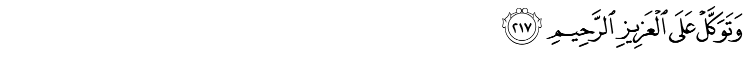 /images/26/26_217.png