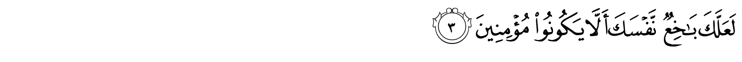 /images/26/26_3.png