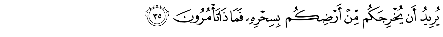 /images/26/26_35.png