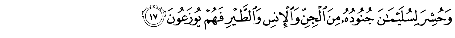 /images/27/27_17.png