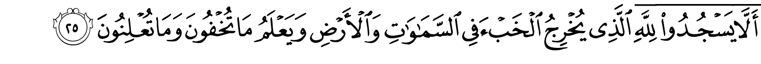 /images/27/27_25.png