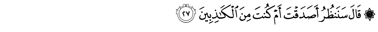 /images/27/27_27.png