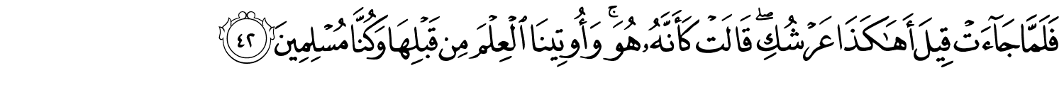 /images/27/27_42.png