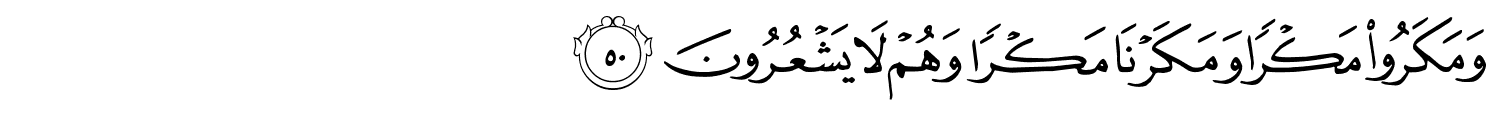 /images/27/27_50.png