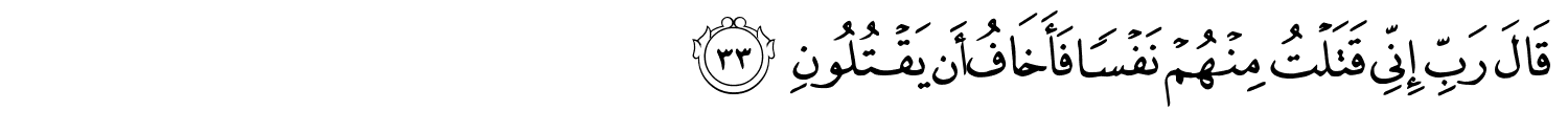 /images/28/28_33.png