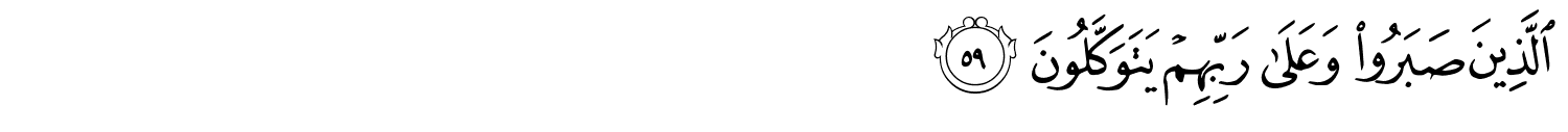 /images/29/29_59.png