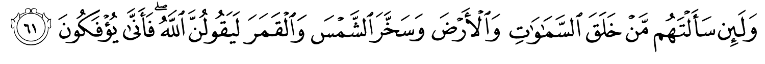 /images/29/29_61.png