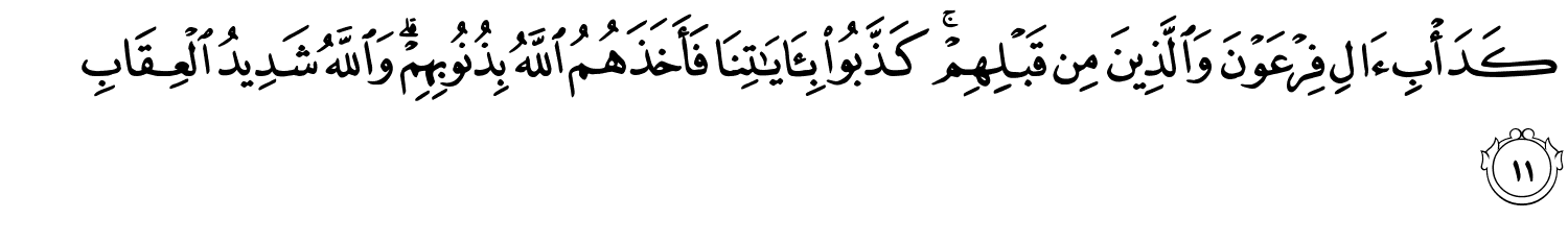 /images/3/3_11.png