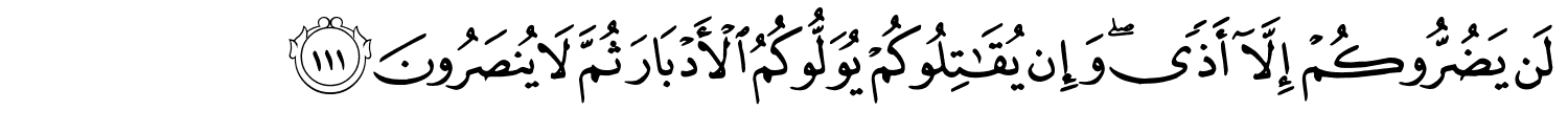 /images/3/3_111.png