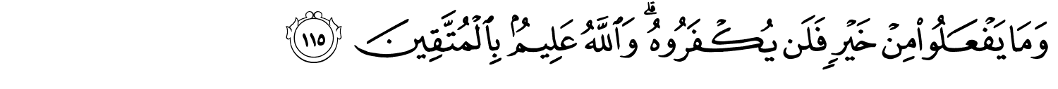 /images/3/3_115.png