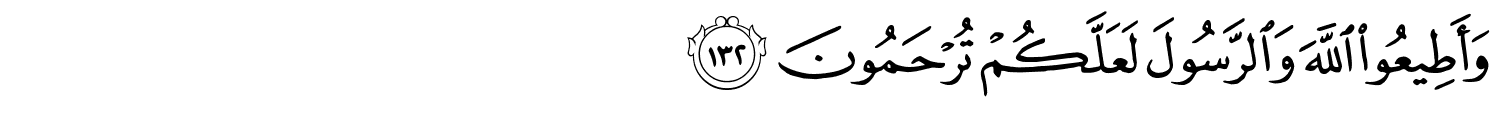 /images/3/3_132.png