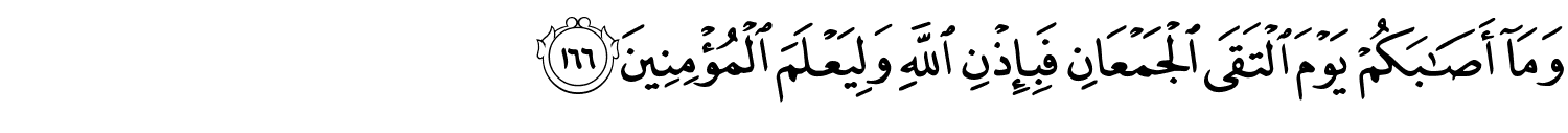 /images/3/3_166.png