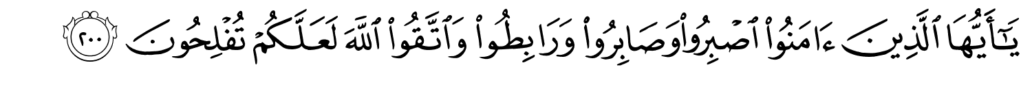 /images/3/3_200.png