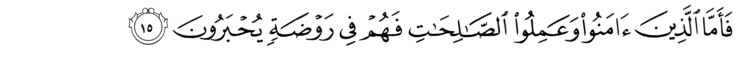 /images/30/30_15.png