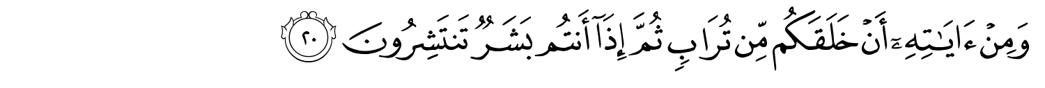 /images/30/30_20.png