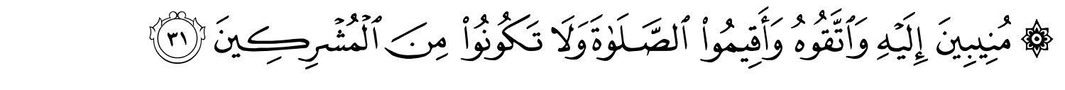 /images/30/30_31.png