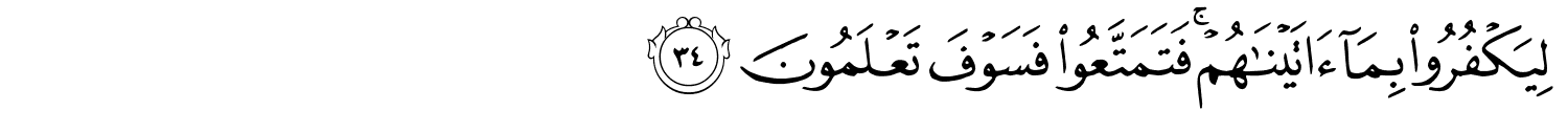 /images/30/30_34.png