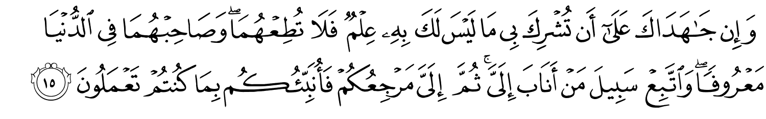 /images/31/31_15.png
