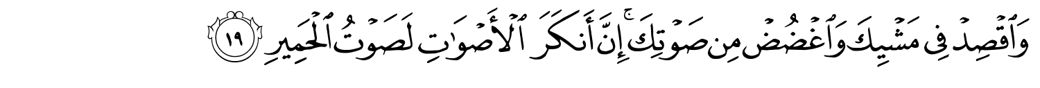 /images/31/31_19.png