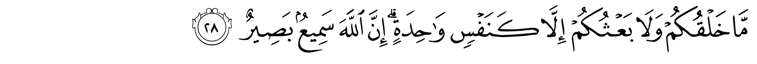 /images/31/31_28.png