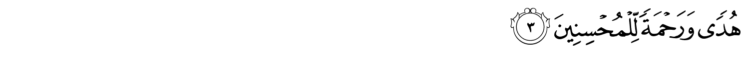 /images/31/31_3.png