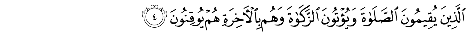 /images/31/31_4.png