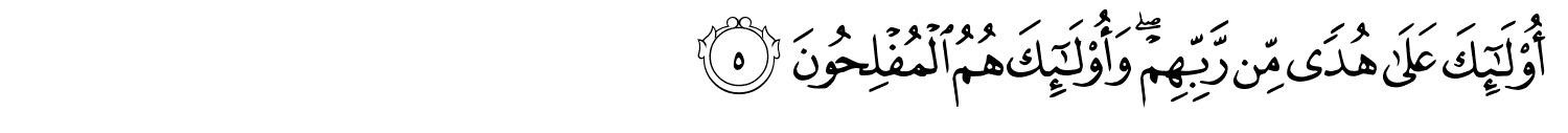 /images/31/31_5.png