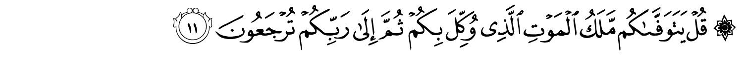/images/32/32_11.png