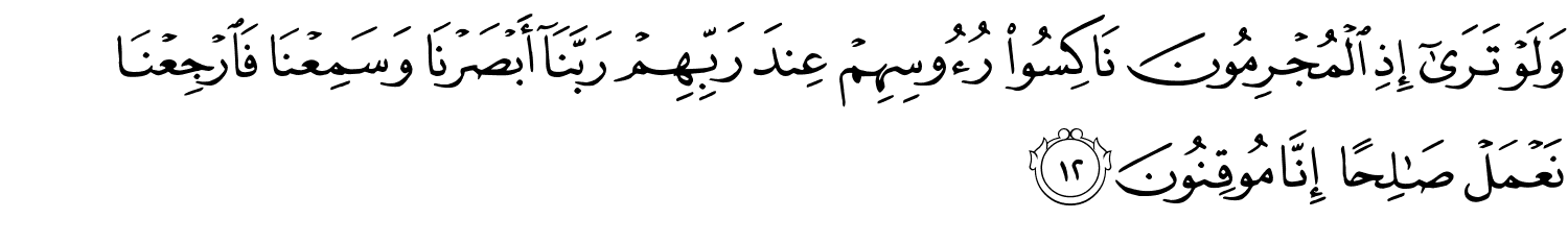 /images/32/32_12.png
