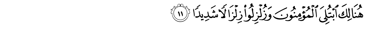 /images/33/33_11.png