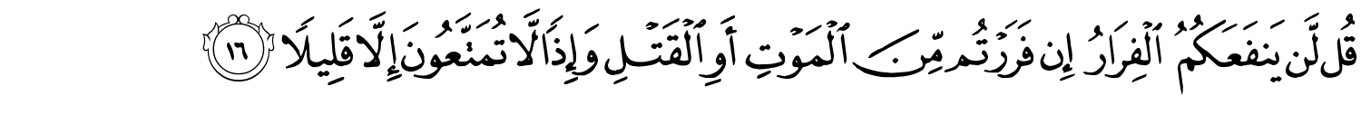 /images/33/33_16.png