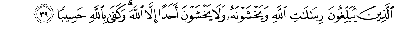 /images/33/33_39.png