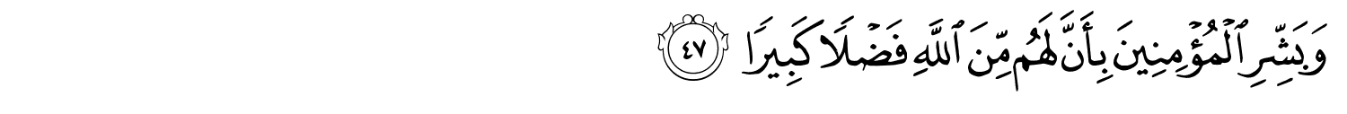 /images/33/33_47.png