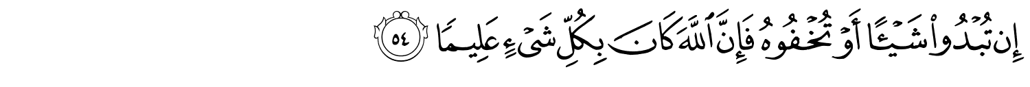 /images/33/33_54.png