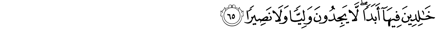 /images/33/33_65.png
