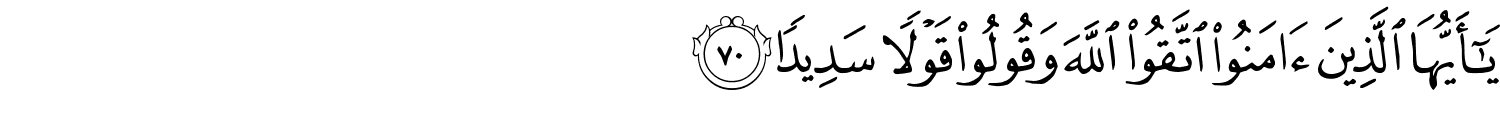 /images/33/33_70.png